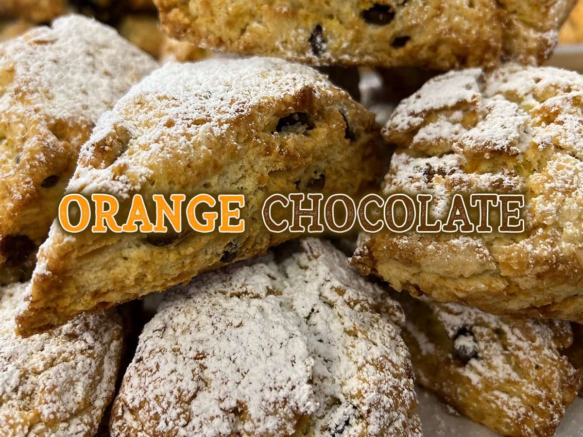 Gluten Free Round of Scones - 8 Scones